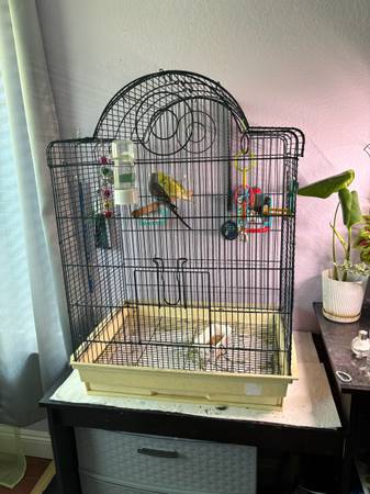 Bird cage 1