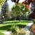 Start Fresh with FREE One month Rent - Lease Now! 4 thumbnail