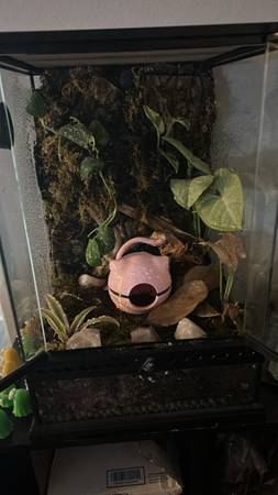 Bioactive Enclosure 1