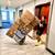 💪🔥💪WALNUT CREEK  VALLEY MOVERS ✅  🟧 HOURLY RATES/No EXTRA Charges 5 thumbnail