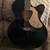 Gretsch Rancher Falcon ac/el 2 thumbnail