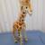 ANTIQUE  STEIFFS ** GREAT CONDITION 9 thumbnail