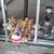 'PLUMBING/Service/Repair/Contractor/Commercial-Residential 7 thumbnail