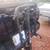 Bike carrier, holds up to 4 bicycles, very good condition. 3 thumbnail