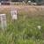 5 Acres with Irrigation 3 thumbnail