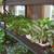GARDEN CENTER, STARTS, SOILS, POTS, FERTILIZERS. Sale! 17 thumbnail