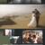 Professional photographer equipment and business 7 thumbnail