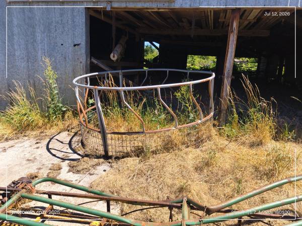 Hay Ring 1