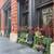 🌿 Botanical & Plant Design for Stores, Restaurants, and Residences 🌿 7 thumbnail