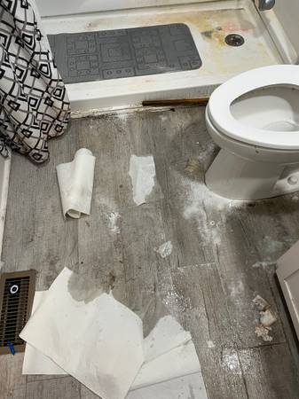 🎈🎈🎈Flat Affordable Rates- Flat Affordable Rates🎈🎈🎈 1