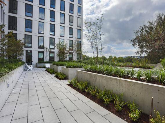 $1,699 / 1br - 684ft2 - Gorgeous 1 BR/1 BA Apartment with Floor-to-Ceiling Windows, WiFi A (Sullivans Gulch)63831536528641121