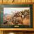7 - Framed Wild Life $40 Each 4 thumbnail