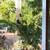 2 Private BRooms in 3BR/2BA House, Quiet, Bright, Furnished by Apple 13 thumbnail