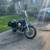 1994 Sportster 1250 3 thumbnail