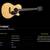Takamine ENV 460 SC-All Solid Wood 16 thumbnail