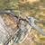 🚲 TREK 800 Antelope Mountain Bike 🚲 4 thumbnail
