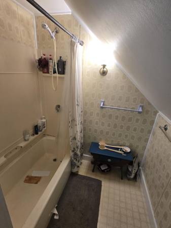 $620 / 2 dormitorios - $650 – Habitación disponible en 2 dormitorios/1 baño, amigable con la comunidad LGBT (Brattleboro, VT)63184522625793124