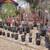 Japanese Maple trees 42 varieties 800+ plants  Mar2025 update 6 thumbnail