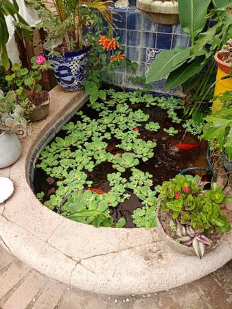 Beautiful views, walk to La Presa neighborhood, and turn key casa 1