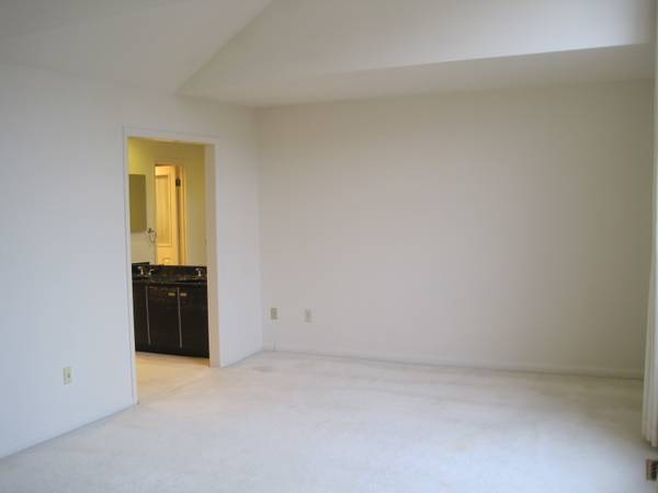 $925 / 4br - 400ft2 - Large Master Bedroom w/Full Private Bath (Tysons / Vienna / Mclean)64040030583171123