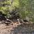 Pleasanton Exclusive Foothill Home 17 thumbnail