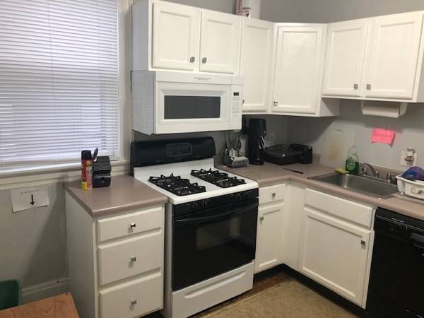 $600 1br - 202ft - Spacious 1BR/1BA – Pet Friendly (Brooklyn)63870971692289121