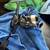 OKUMA EPIXOR 30s barely used 3 thumbnail