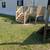 TILE DECKS AND HOME IMPROVEMENTS 19 thumbnail