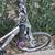 Womens Trek Skye Small Frame Mountain Bike. Aluminum, Front Shock. 5 thumbnail