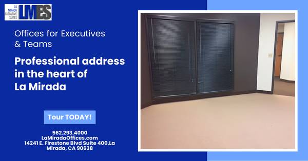 Offices for Executives & Teams 1