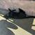 Lost Grandcat Madison and 36th 1 thumbnail