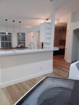 Professional painting service Fair prices (Jacksonville FL)62902776786690121