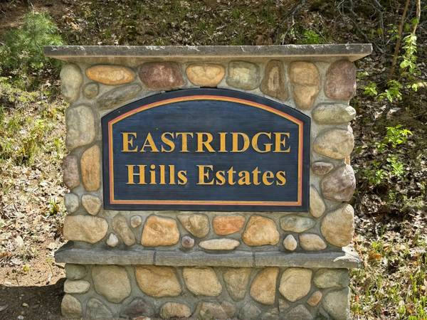 $34,700 / 80150ft2 - Beautiful Wooded 1.8 acre parcel for sale (Gaylord)64037725103619124