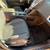 2014 Chevy Equinox LT 8 thumbnail