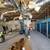 COMMERCIAL CONTRACTOR METAL FRAMING,DRYWALL,ACOUSTIC CEILINGS,FRP, 11 thumbnail