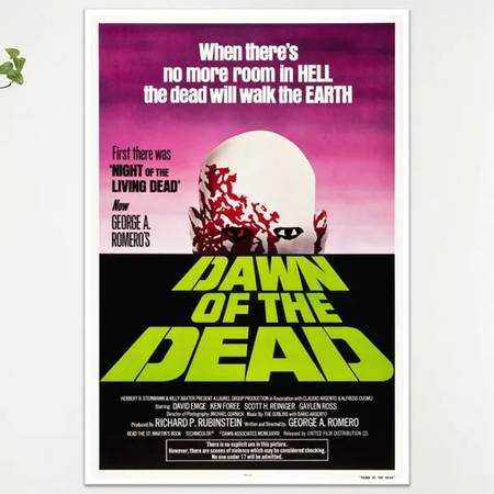 Dawn of the dead movie poster and frame 1