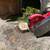 tree , stump/root removal & palm tree services! 15 thumbnail