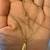 14K Yellow Gold necklace with Beautiful Pendant in shape of a Leave 14 thumbnail