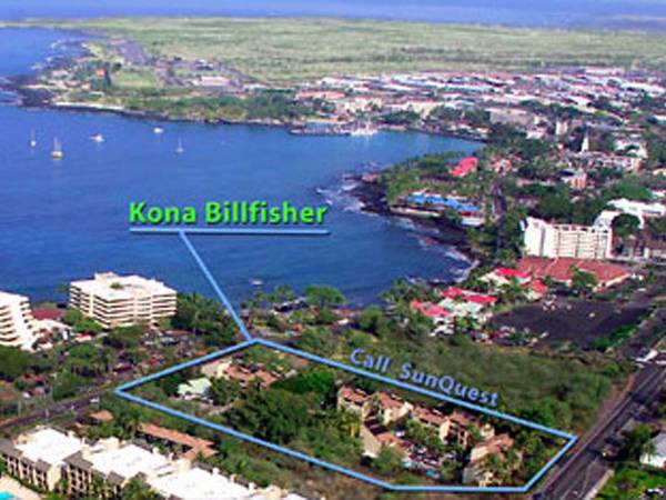 $3,500 / 1br - Hawaii Nov 15 th- Feb 13 th. (Kailua, kona.)64148845066114124