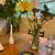 1 BD available in charming house w/outdoor space 6 thumbnail