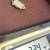 14k Gold 4.ct diamond Jesus pendant 43 grams 5 thumbnail