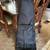 Jackson Guitars Padded Soft Cases - 2 sizes - $15/ea 4 thumbnail