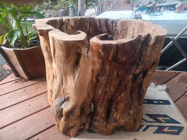 One of a Kind Hardwood Hollow Stump Table Base - $500 (Maple Falls)63469925823491122