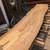 American Elm Lumber Live Edge Slabs - 50% Off November Sale 7 thumbnail