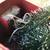 Festive Polar Express metal Christmas Santa train 7 thumbnail