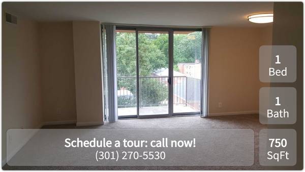 $1,679 / 1hab - 750ft2 - Descanse y relájese en nuestro tranquilo de 1 habitación, 1 baño en Takoma Park (Takoma Park - Centro Comunitario de Takoma Park)63822292848899121