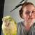 Hand tamed Quaker and Cockatiel for rehome 3 thumbnail