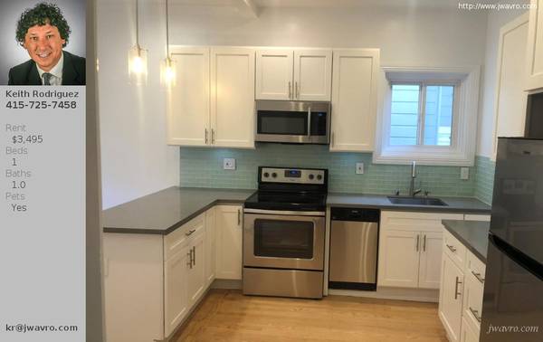 $3,495 / 1br - Remodeled Ashbury Heights Edwardian Style Jr. 1bd ~ J.Wavro (cole valley / ashbury hts)63938499901699120