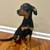 Doberman Mixed Puppy 1 thumbnail
