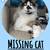 MISSING CAT 3 thumbnail